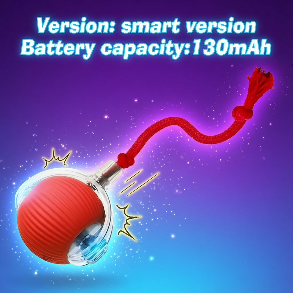 Dog and Cat Automatic Rolling Interactive Ball Toy Rechargeable
