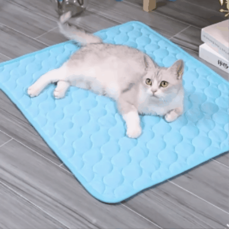 Ice Silk Summer Cooling Mat for Dogs & Cats