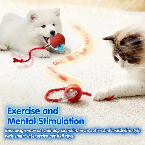 Dog and Cat Automatic Rolling Interactive Ball Toy Rechargeable