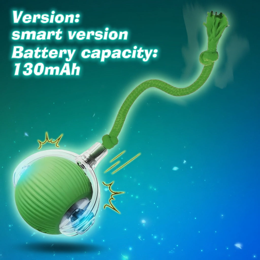 Automatic Interactive Ball Toy for Dogs & Cats - Rechargeable