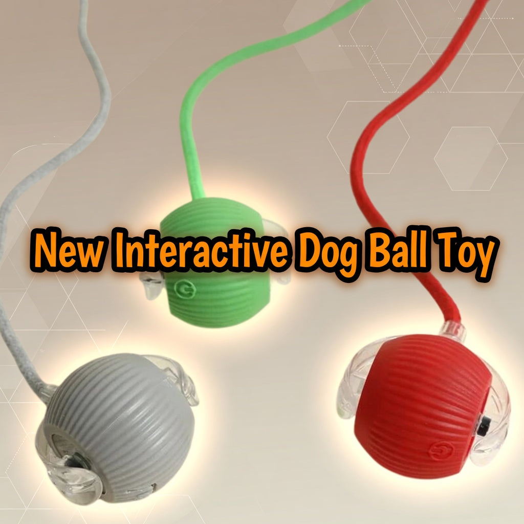 Dog and Cat Automatic Rolling Interactive Ball Toy Rechargeable