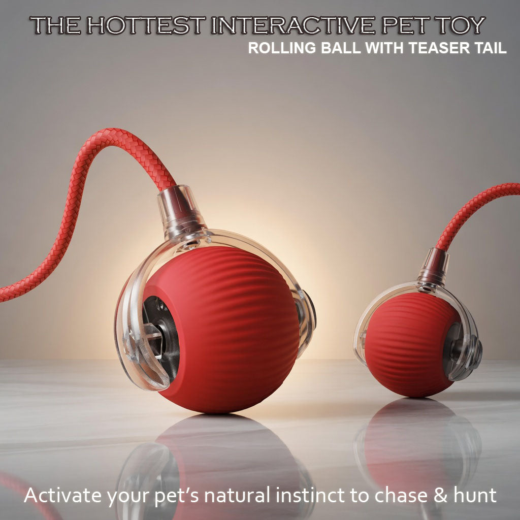 Automatic Interactive Ball Toy for Dogs & Cats - Rechargeable