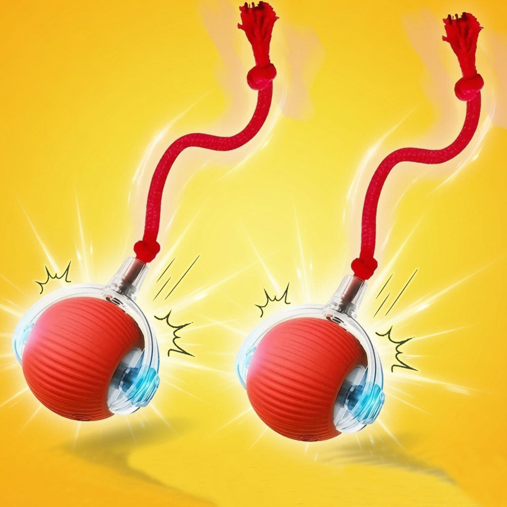 Automatic Interactive Ball Toy for Dogs & Cats - Rechargeable